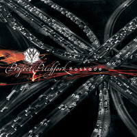 pochette album Instead of an angle