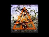 pochette album Lam bras