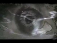 pochette album Lie on grass