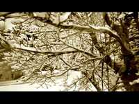 pochette album Shine