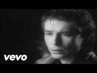 pochette album The ghost in you