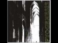 pochette album Like tears (in the dust)