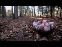 pochette album Like the swan