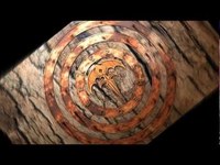 pochette album Breaking the silence