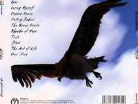 pochette album Falling behind