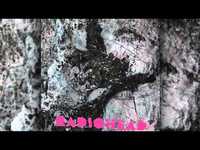 pochette album Desert island disk