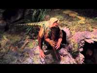 pochette album I had a dinosaur