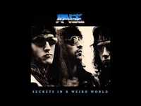 pochette album Law and order