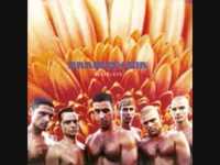 pochette album Alte leid