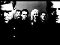 pochette album Wut will nicht sterben