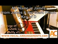 pochette album My name is james
