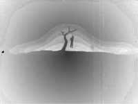 pochette album Gallows