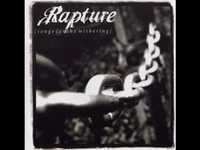 pochette album Transfixion