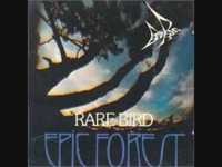 pochette album Title no. 1 again (birdman)