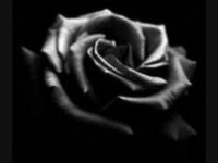 pochette album Ghost of love