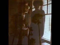 pochette album Honey, i never had you