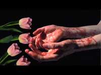 pochette album Oh, i buried you today