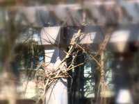 pochette album Gee, baby, ain't i good to you?