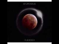 pochette album A murmuration of starlings