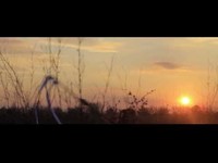 pochette album Revelation