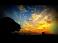 pochette album Apples