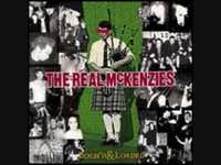 pochette album Wild cattieyote