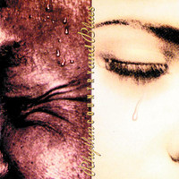 pochette album Since i fell for you