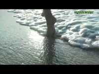 pochette album River