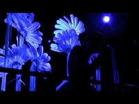 pochette album Winter winterkill