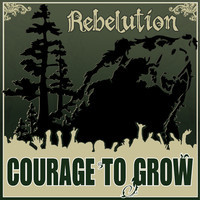pochette album Courage to grow