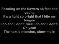 pochette album Feasting on the flowers