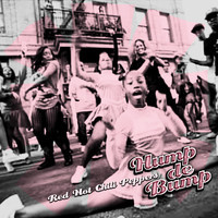 pochette album Hump de bump