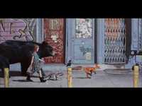 pochette album The longest wave