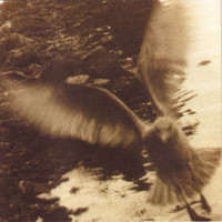 pochette album Around and around