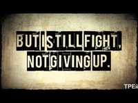 pochette album Dreams