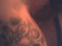 pochette album Bonfire