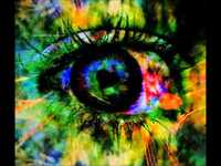 pochette album Circus envy