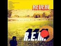 pochette album Disappear