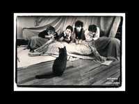 pochette album That beat