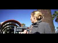 pochette album Another day in paradise