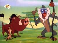 pochette album Calling