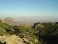 pochette album Texas