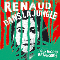 pochette album Dans la jungle