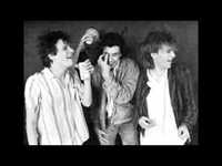 pochette album Jungle rock