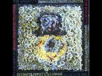 pochette album Dead wood