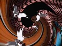 pochette album Harry the head