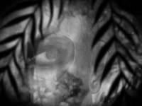 pochette album Kick a picnic