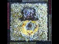 pochette album Six amber things