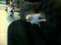 pochette album Bath-water blues