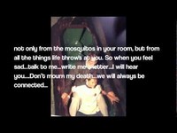 pochette album Dear camela